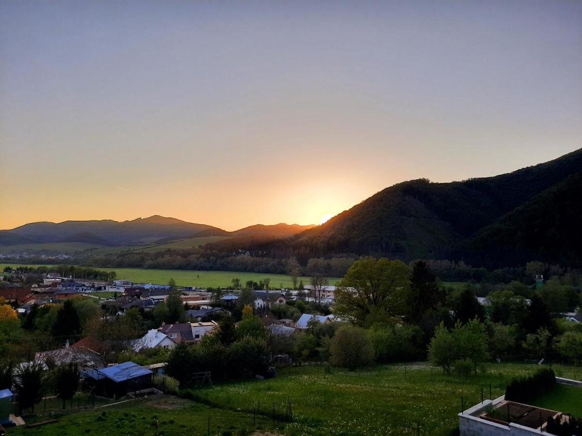 Vila Viktoria Rajecke Teplice Bagian luar foto